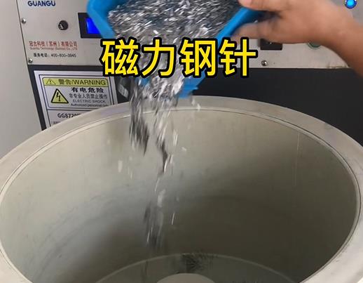 龙圩不锈钢箍用钢针